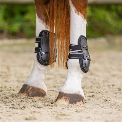 QHP Champion Arka Getr (Fetlock Boots)
