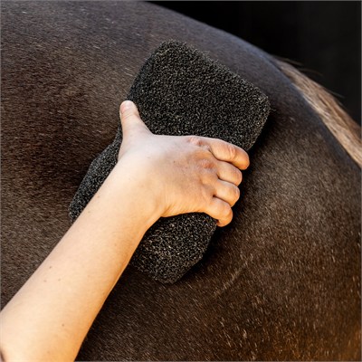 QHP Equi Super Shiner At Tımar Süngeri