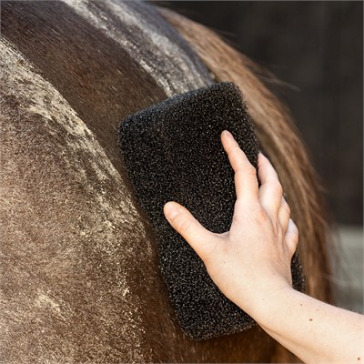 QHP Equi Super Shiner At Tımar Süngeri