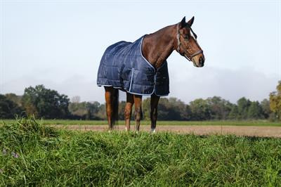 Riding World Ahır Blanketi