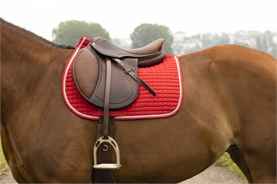 RIDING WORLD Girly Çok Amaçlı Eyer Altlığı - Kırmızı (Pony Boyu)
