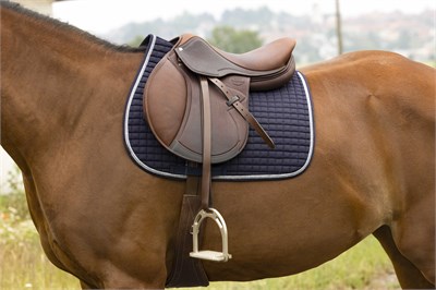 RIDING WORLD Girly Çok Amaçlı Eyer Altlığı - Lacivert (Pony Boyu)