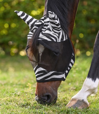 Sinek Maskesi - Zebra