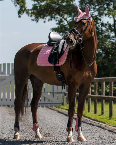 Tendon Koruyucu Getr