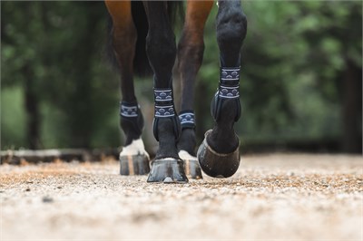 TRH5 Ön Tendon Koruyucu Getr - Siyah
