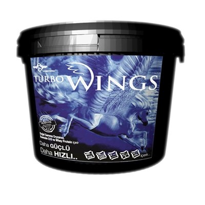 Turbo Wings
