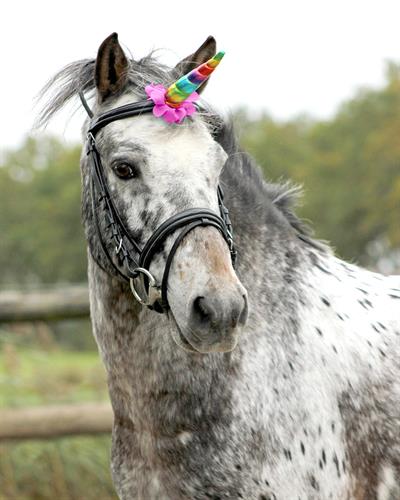 Unicorn Gökkuşağı Boynuzlu