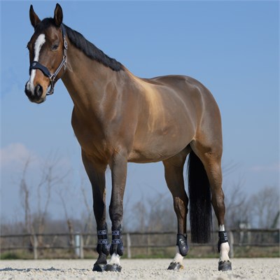 VEREDUS Olympus Absolute Ön Tendon Koruyucu Getr - Siyah