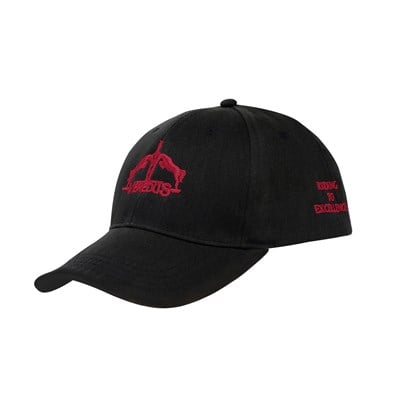 VEREDUS Unisex Logo Detaylı Şapka