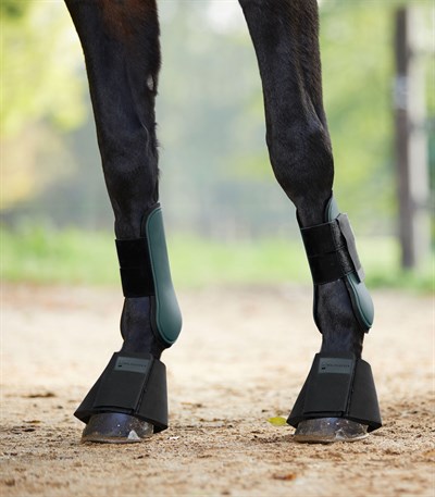 Waldhausen Tendon Koruyucu Getr - Esperia