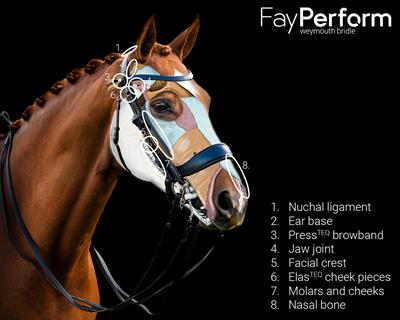 Weymouth Başlık FayPerform