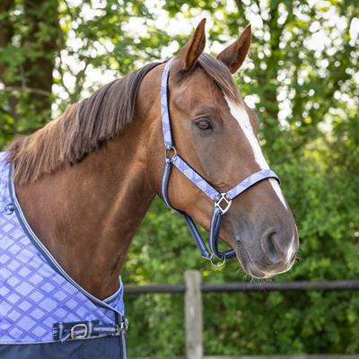 Yular Seti Turnout Koleksiyonu