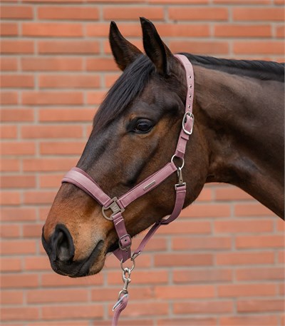 Yular Seti - Velvet - Pembe