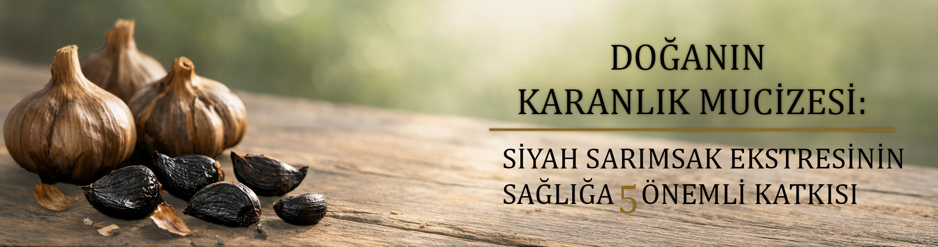 black garlic, siyah sarımsak, black garlic nedir, siyah sarımsak nedir, black garlic faydaları, siyah sarımsak faydaları, fermente sarımsak, aged garlic, siyah sarımsak özü, siyah sarımsak ekstresi, antioksidan, gıda takviyesi, bağışıklık sistemi, sağlıklı yaşam, vitamin ve mineral, doğal içerikler, Sağlık Dolabım