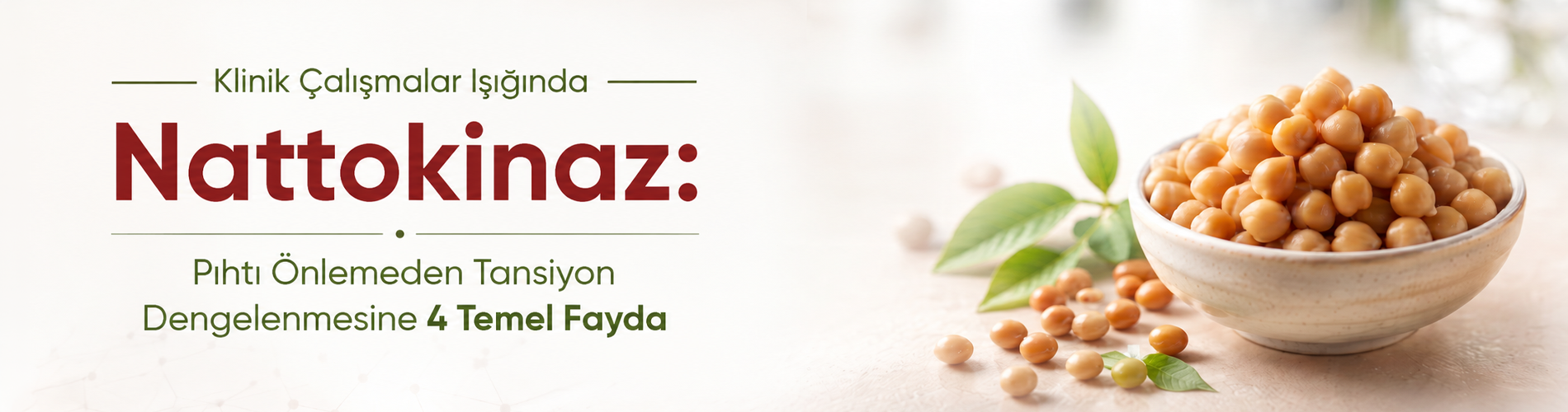 nattokinaz, nattokinase, nattokinaz nedir, nattokinaz faydaları, nattokinaz kullanımı, nattokinaz 2000 fu, natto, fermente soya, enzim, gıda takviyesi, dolaşım sistemi, kalp damar sağlığı, sağlık blogu, sağlık dolabım