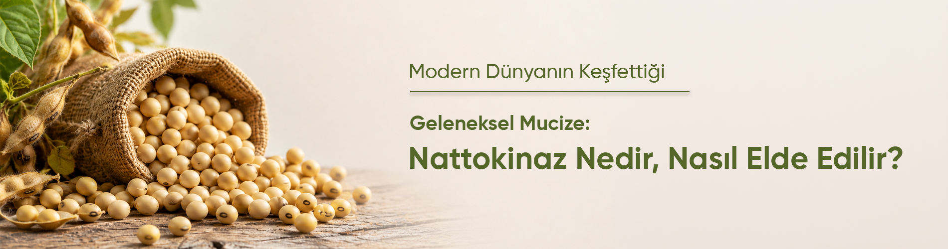 nattokinaz, nattokinase, nattokinaz nedir, nattokinaz faydaları, nattokinaz kullanımı, nattokinaz 2000 fu, natto, fermente soya, enzim, gıda takviyesi, dolaşım sistemi, kalp damar sağlığı, sağlık blogu, sağlık dolabım
