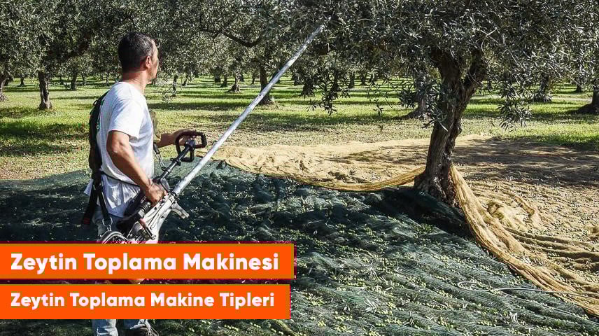 zeytin toplama makinesi