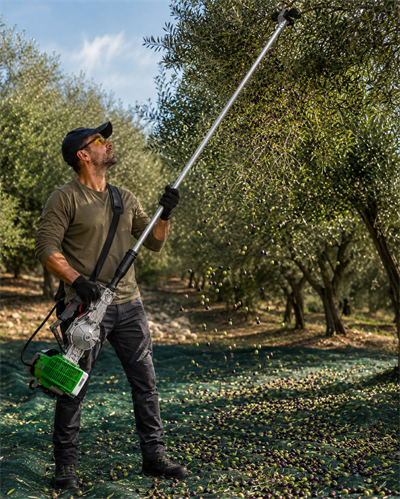 Active M60 3.2 mt. Teleskopik Askılı Ceviz-Fındık-Zeytin Silkeleme Hasat Makinesi - Orjinal İtalyan
