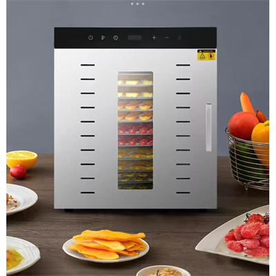 Dalle SS-12H Meyve-Sebze Kurutma Fırını Dijital Çift Katmanlı 12 Tepsili