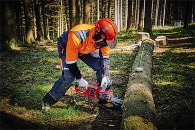 Einhell GE-LC 36/35 Akülü Testere 18V 2 x 2.5 Ah + Hızlı Şarj Aleti