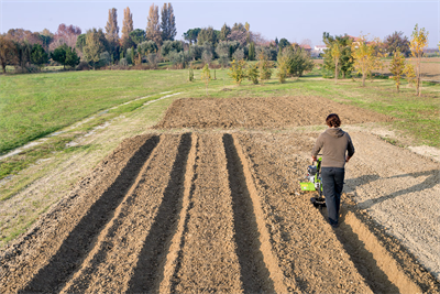 Grillo 11500 178F Dizel Çapalama Makinesi