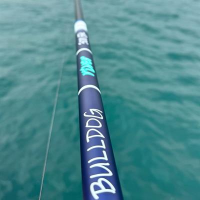 Bulldog 4.20 100 - 300gr Tele Surf Olta Kamışı