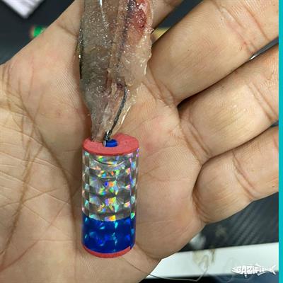 Kapsüllü Çinekop Sarıkanat Lüfer Yemli Takım