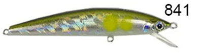 Usami Now 80F-SR 6.2 G Maket Balık