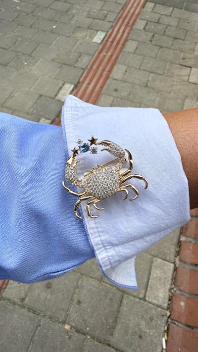 Crab Love