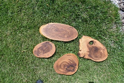 Antiq Forest Karaağaç Ahşap Kesme Tahtası