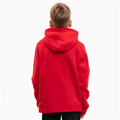 Nike Park 20 Çocuk Kapüşonlu Sweatshirt - Kırmızı