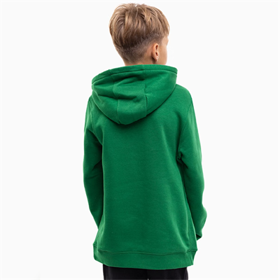 Nike Park 20 Çocuk Kapüşonlu Sweatshirt - Yeşil