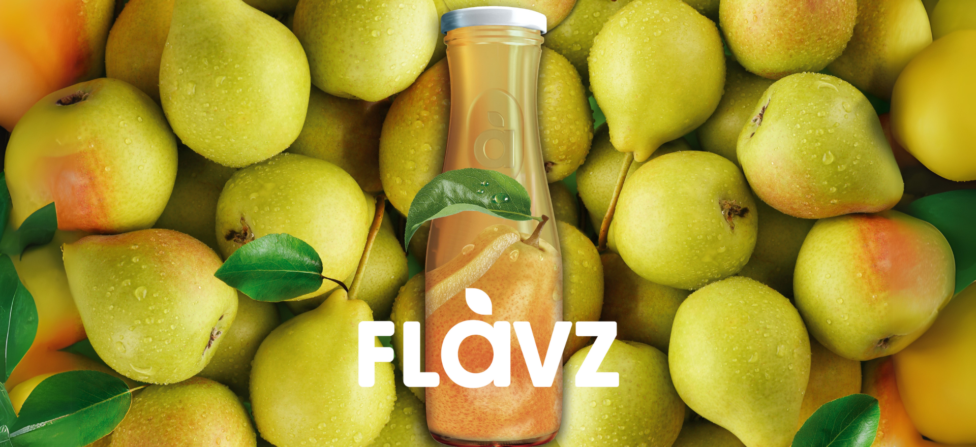 FLAVZ Armut