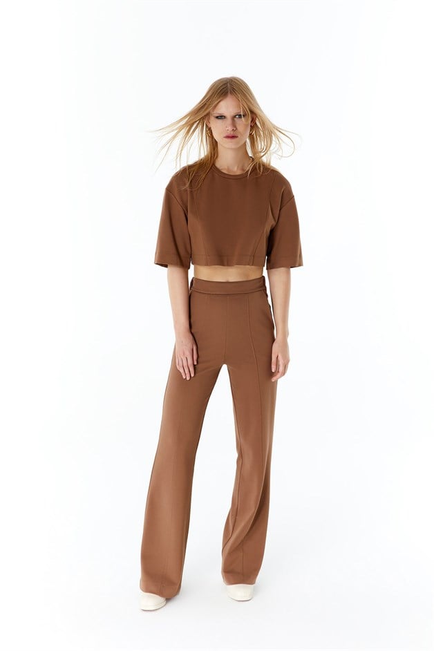 Camel Basic Crop T-Shirt