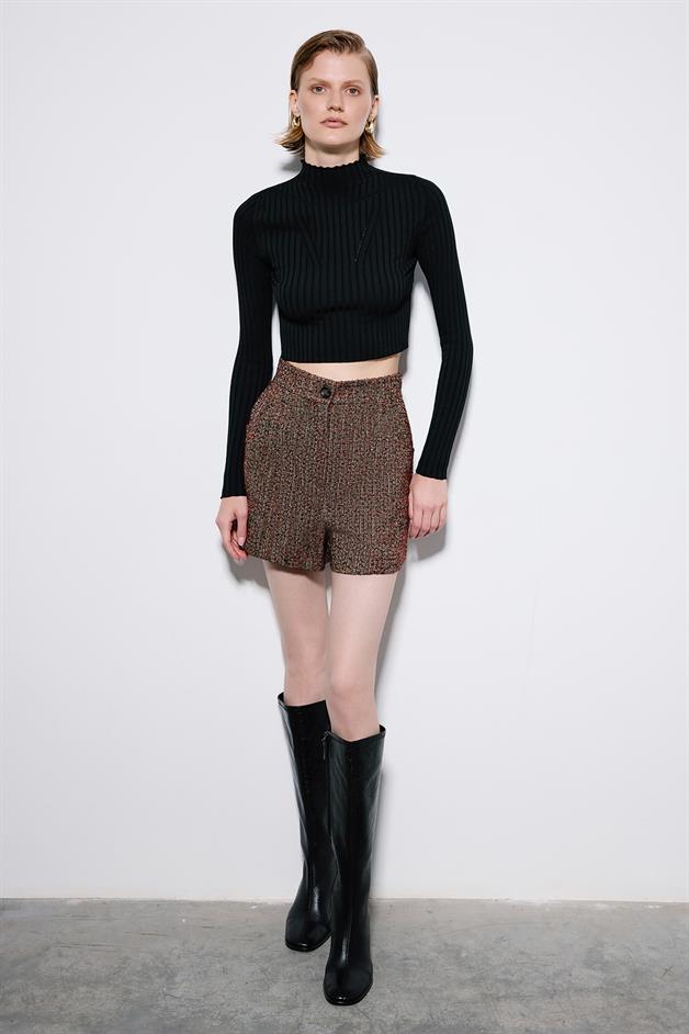Multicolor Tweed Shorts With Pleat Detail