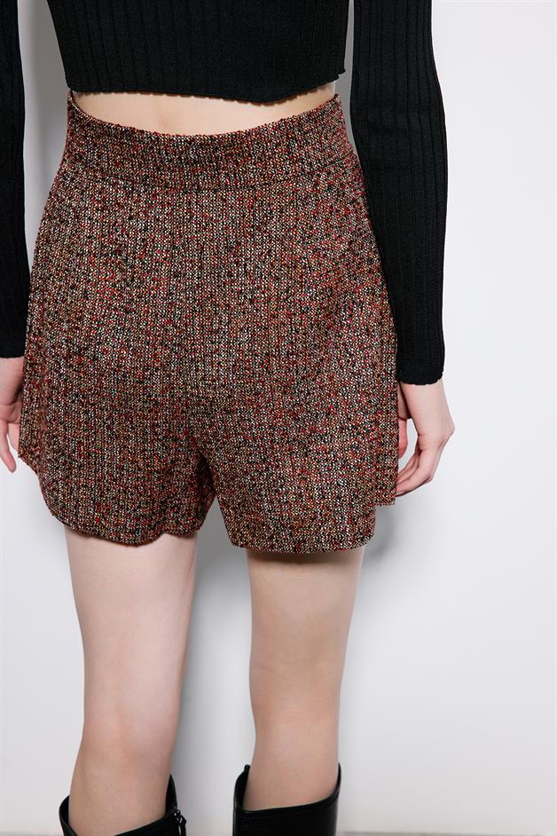 Multicolor Tweed Shorts With Pleat Detail