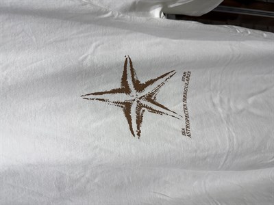 Deniz Yıldızı Baskılı Kısa Kol T-shirt