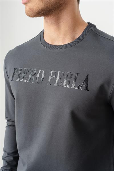 Crew Neck Jaguar Pattern Flocked Print Regular Fit Anthracite Sweatshirt
