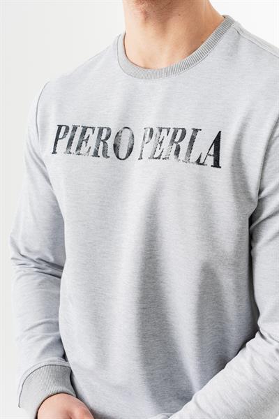 Crew Neck Jaguar Pattern Flock Print Regular Fit Grey Melange Sweatshirt