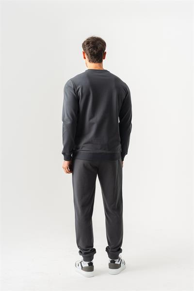 Crew Neck Jaguar Pattern Flocked Print Regular Fit Anthracite Sweatshirt