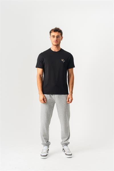 Mens Regular Fit Crew Neck Black Basic T-Shirt