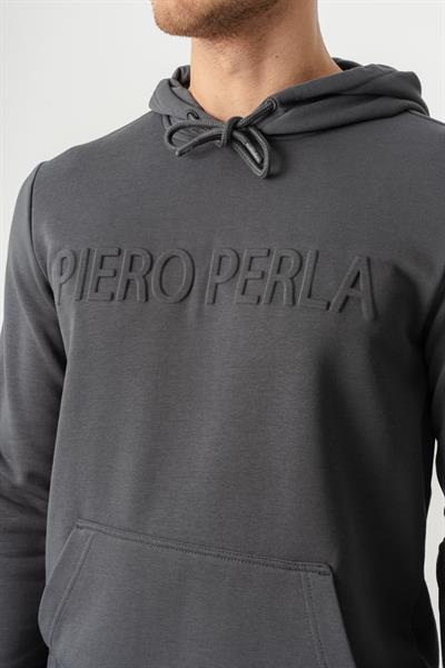 Regular Fit Hooded Mens Hoodie with Embossed Waffle Logo in Anthracite