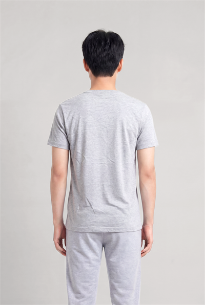 Jaguar Baskı Detaylı Bisiklet Yaka Regular Fit Erkek Gri T-Shirt