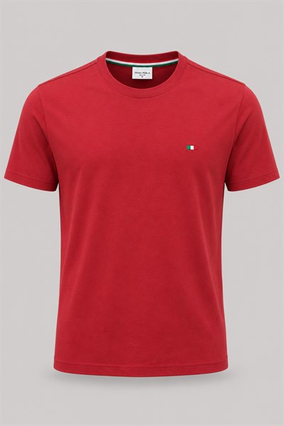 Nakış Detaylı Regular Fit Erkek Bisiklet Yaka T-Shirt