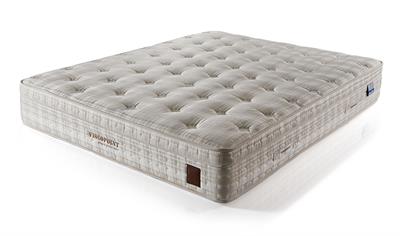  VISCOPOINT PETRA SET (YATAK+BAZA+BAŞLIK)