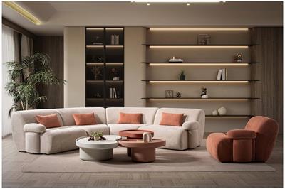 KİDNEY BÜYÜK ORTA SEHPA