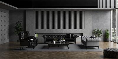 VİCTORİA KOLTUK TAKIMI