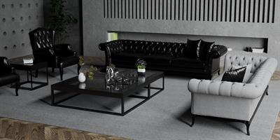 VİCTORİA KOLTUK TAKIMI