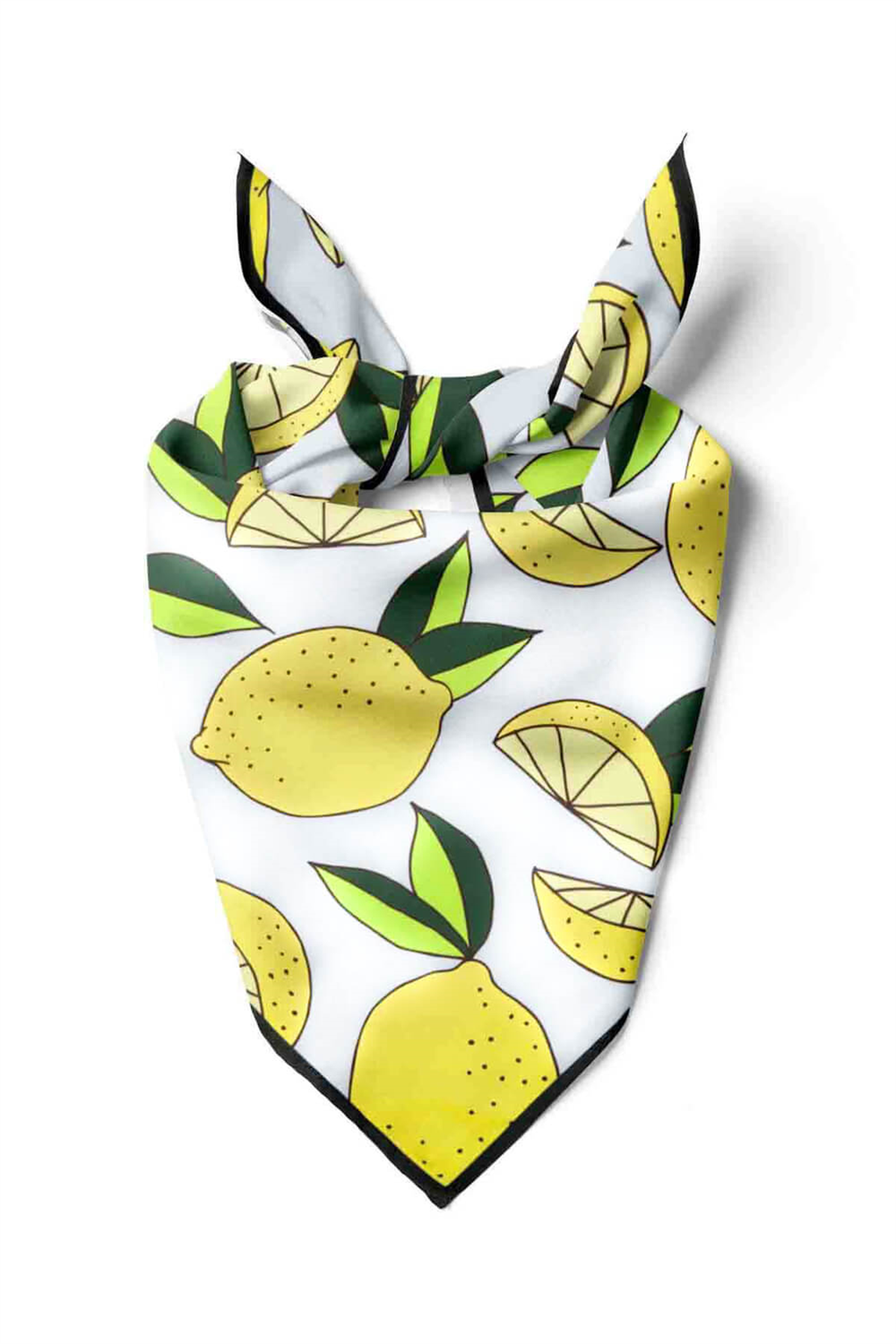 Bandana for Women 22