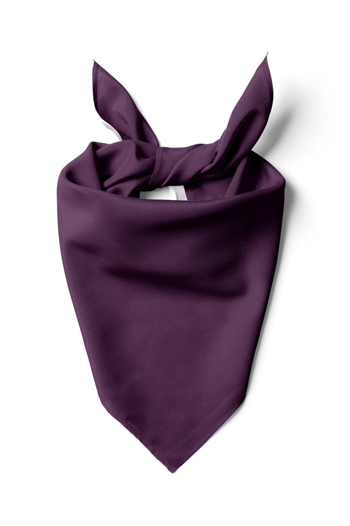 Şifon Mürdüm Bandana